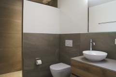 Innenausbau mit Anbau Badezimmer