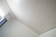 Innenausbau Anbau Decke